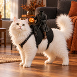 Headless Rider Pet Costume — white cat