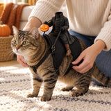 Headless Rider Pet Costume — fitting